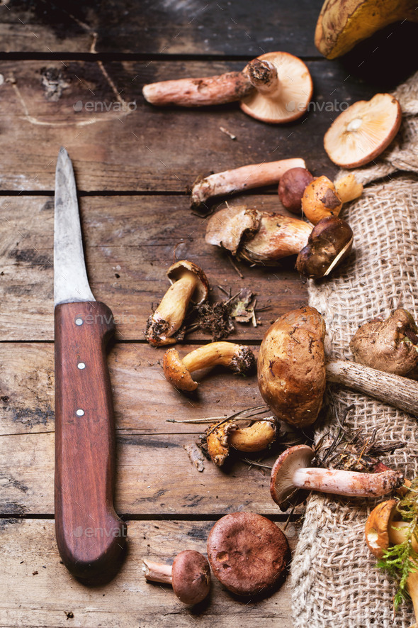 Mix of forest mushrooms (Misc) Photo Download