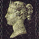pennyblack