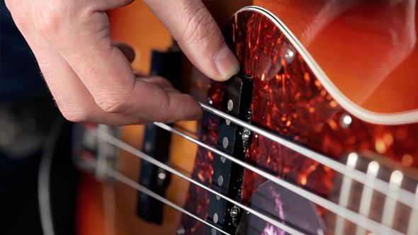 Bass Player Playing With Strings Bass Player Playing With Strings