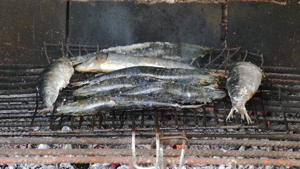 Fish Sardines Grilling on Grid 879 Fish Sardines Grilling on Grid 879