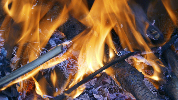 Firewood Burning in the Fireplace 881 Firewood Burning in the Fireplace 881