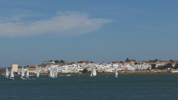 Many Sailing Yachts Moving in the Bay 884 Many Sailing Yachts Moving in the Bay 884