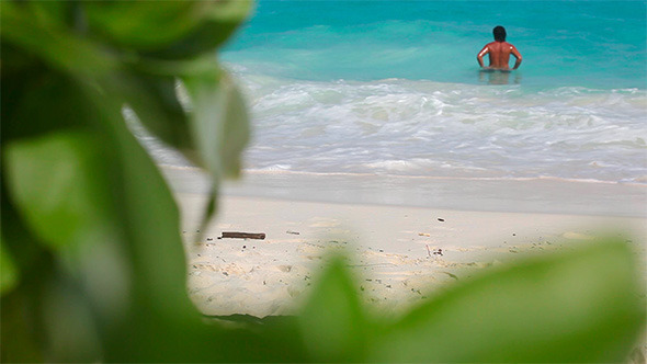 Summer Beach Summer Beach