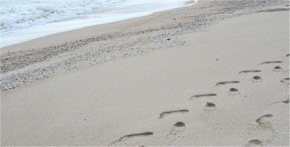 Traces Traces