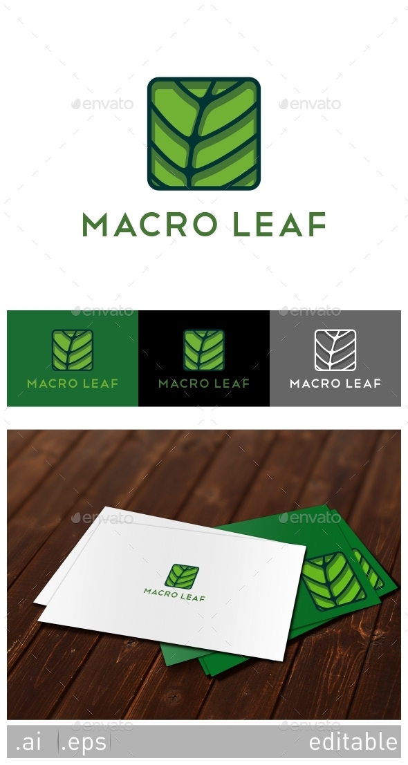 GraphicRiver Macro Leaf Logo Template 8929173 GraphicRiver Macro Leaf Logo Template 8929173