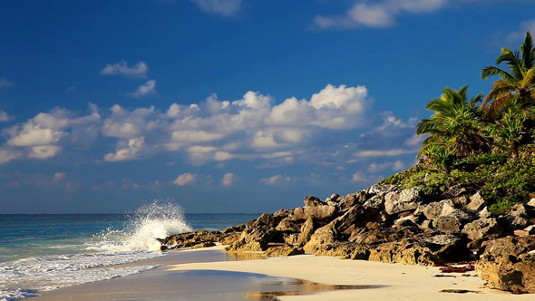Wild Beach Wild Beach