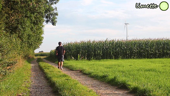 Rural Walking Rural Walking