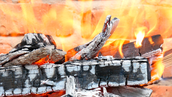 Firewood Burned In A Bonfire Firewood Burned In A Bonfire