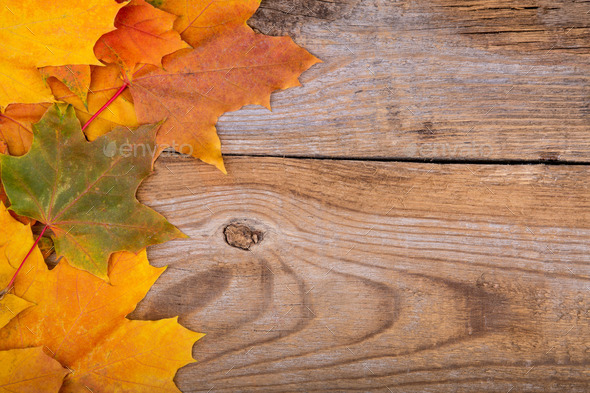 Autumn frame from maple leaves on the old wooden background. Copy space. (Misc) Photo Download