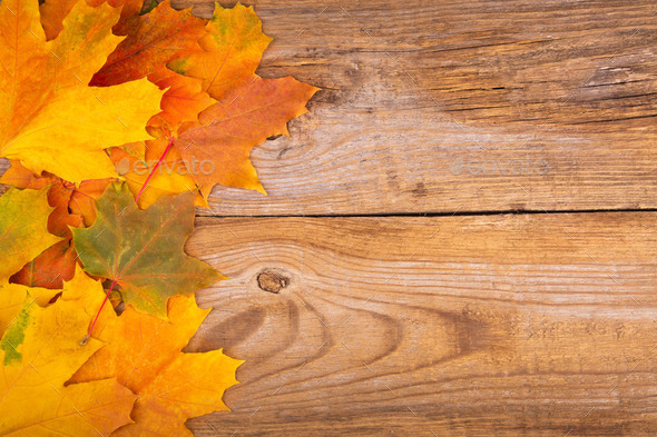 Autumn frame from maple leaves on the old wooden background. Copy space. (Misc) Photo Download