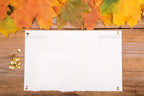 Autumn frame from maple leaves on the old wooden background. Copy space. (Misc) Photo Download