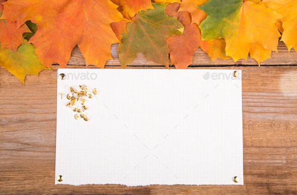 Autumn frame from maple leaves on the old wooden background. Copy space. (Misc) Photo Download