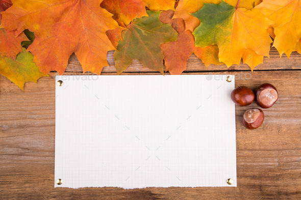 Autumn frame from maple leaves on the old wooden background. Copy space. (Misc) Photo Download