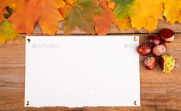 Autumn frame from maple leaves on the old wooden background. Copy space. (Misc) Photo Download