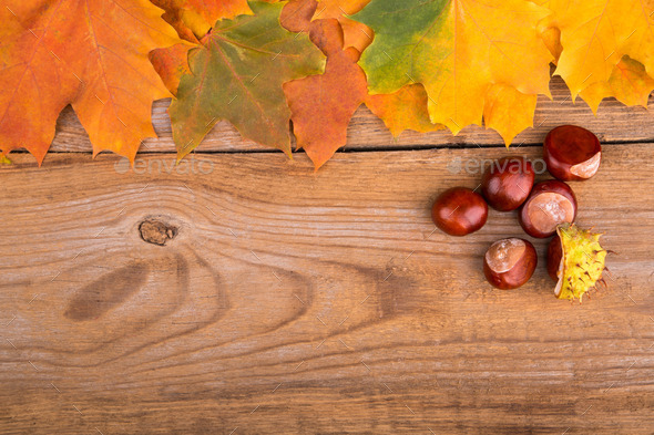 Autumn frame from maple leaves and chestnut on the old wooden background. Copy space. (Misc) Photo Download