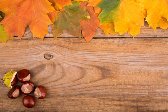 Autumn frame from maple leaves and chestnut on the old wooden background. Copy space. (Misc) Photo Download