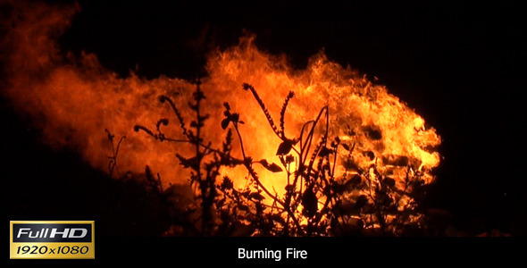 Fire Fire