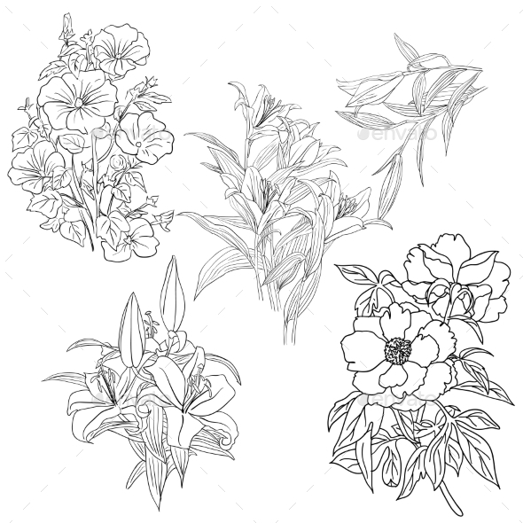 GraphicRiver Set of Hand Drawn Flower 8953059 GraphicRiver Set of Hand Drawn Flower 8953059