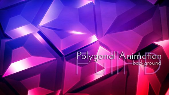 Polygonal Animation Polygonal Animation