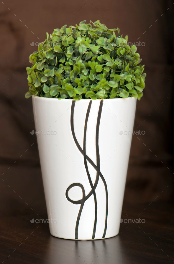 Green plant in narrow ceramic planter