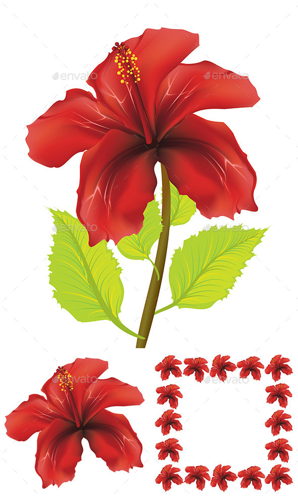 GraphicRiver Red Hibiscus 8975850 GraphicRiver Red Hibiscus 8975850