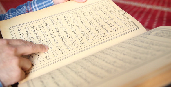 Reading Quran Reading Quran