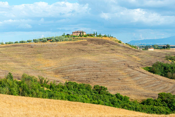 Crete Senesi (Tuscany, Italy) (Misc) Photo Download