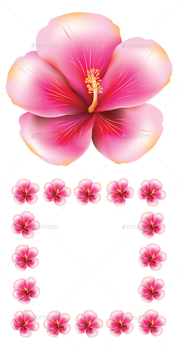 GraphicRiver Pink Hibiscus 8987332 GraphicRiver Pink Hibiscus 8987332