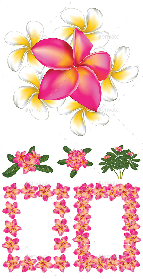 GraphicRiver Plumeria Flowers 8987338 GraphicRiver Plumeria Flowers 8987338