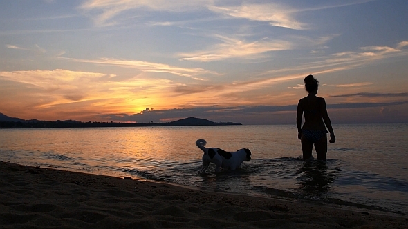 Woman with Dog in the Sea at Sunset Woman with Dog in the Sea at Sunset