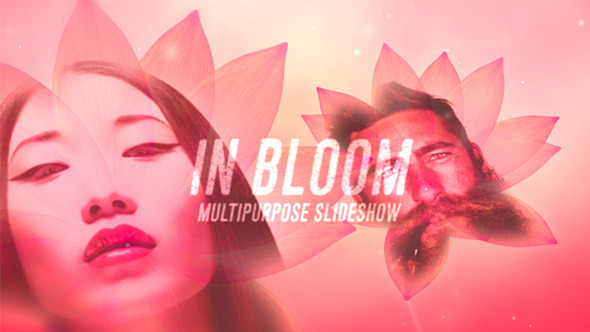 In Bloom In Bloom