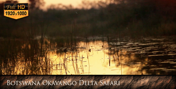 Botswana Okavango Delta Safari Botswana Okavango Delta Safari