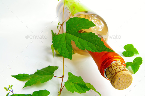 Bottle and vine (Misc) Photo Download