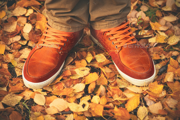 Feet Man walking on fall leaves Outdoor with Autumn season nature (Misc) Photo Download