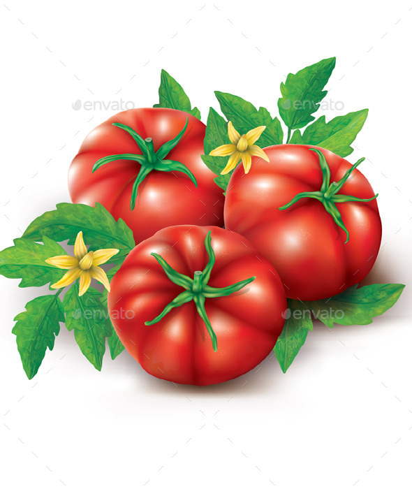 GraphicRiver Tomatoes Leaves and Flowers 8998417 GraphicRiver Tomatoes Leaves and Flowers 8998417