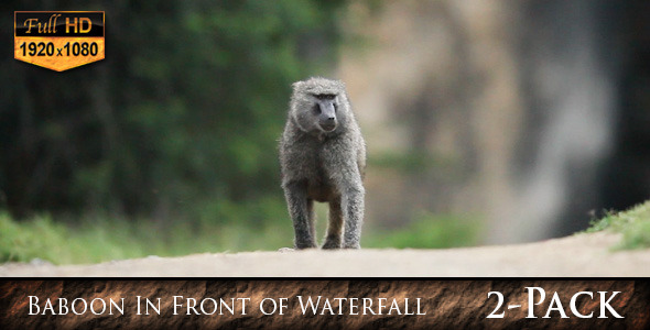 Baboon In Front of Waterfall Baboon In Front of Waterfall