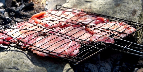 Grilled Steak Miniature Effect Grilled Steak Miniature Effect