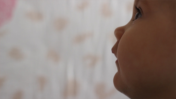 Baby in Profile Portrait Baby in Profile Portrait