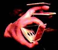 ms-MAGIC