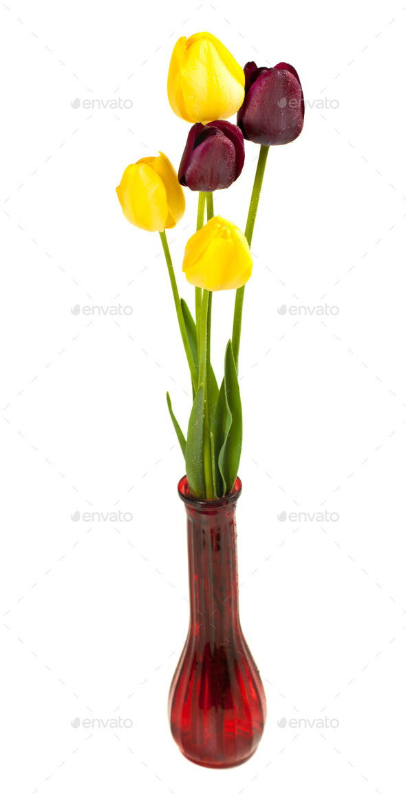 Colorful tulips in vase (Misc) Photo Download