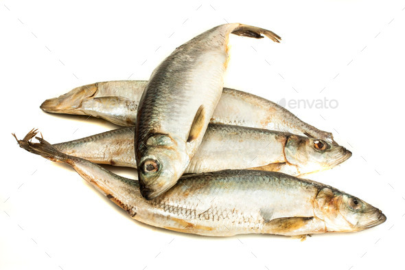 Fresh hering fishes (Misc) Photo Download