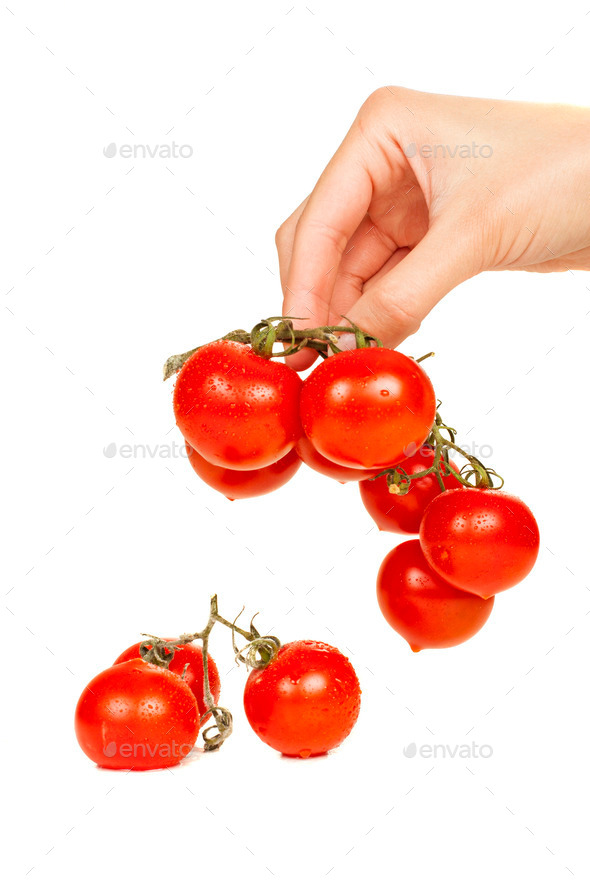  cherry tomatoes in hand (Misc) Photo Download