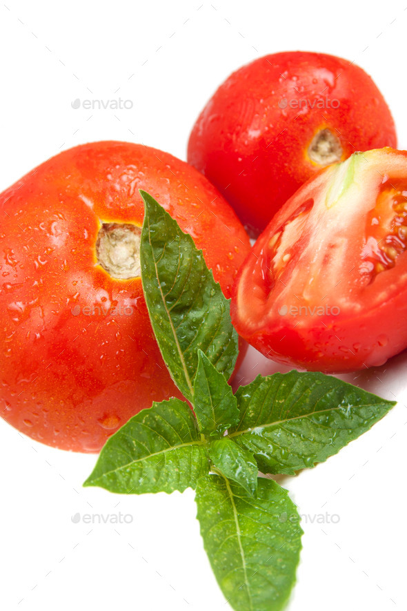 tomatoes and basil (Misc) Photo Download