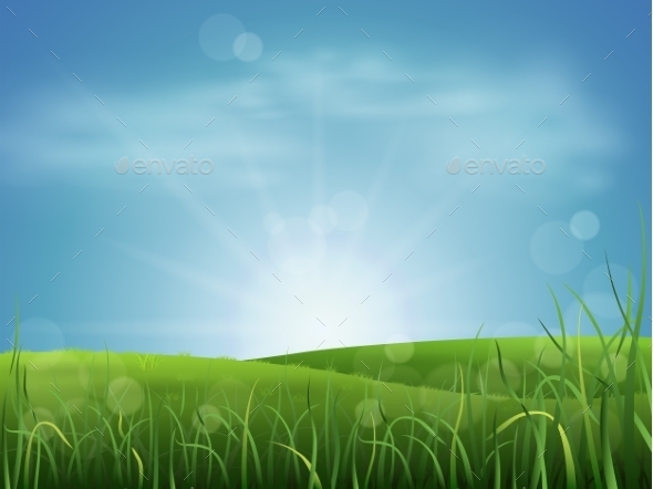 Meadow Grass and Sky (Landscapes)