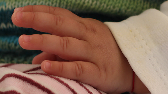 Little Baby Hand Little Baby Hand
