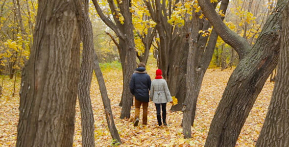 Romantic Date in the Park Romantic Date in the Park