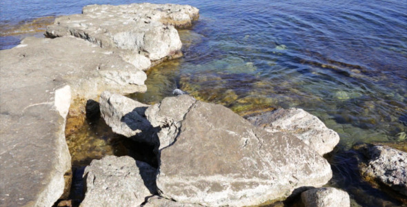 Sea Coast Sea Coast