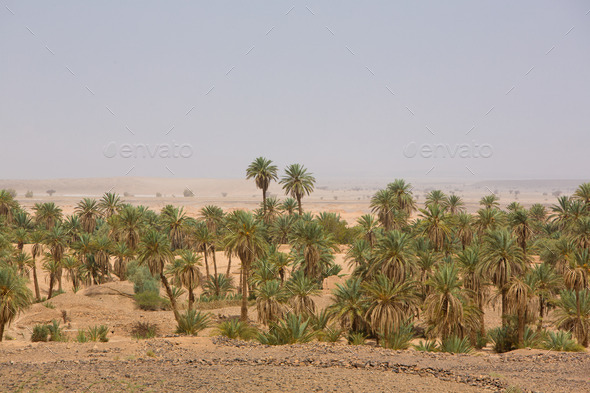 Arid and hot day in the desert of Sahara, Tata (Misc) Photo Download