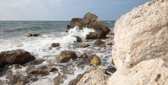 Sea Coast 12 Sea Coast 12