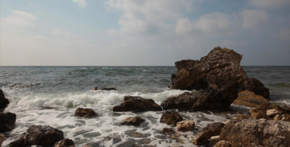 Sea Coast 20 Sea Coast 20